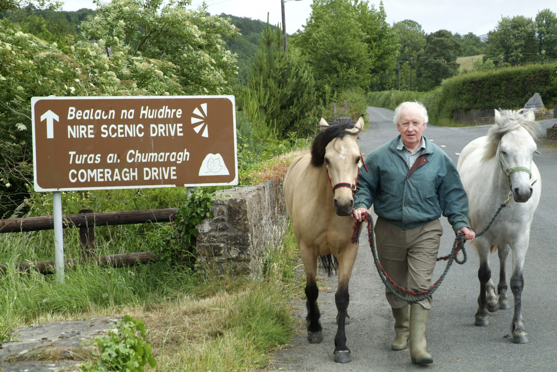 Nire Valley Sign Post_master (1)