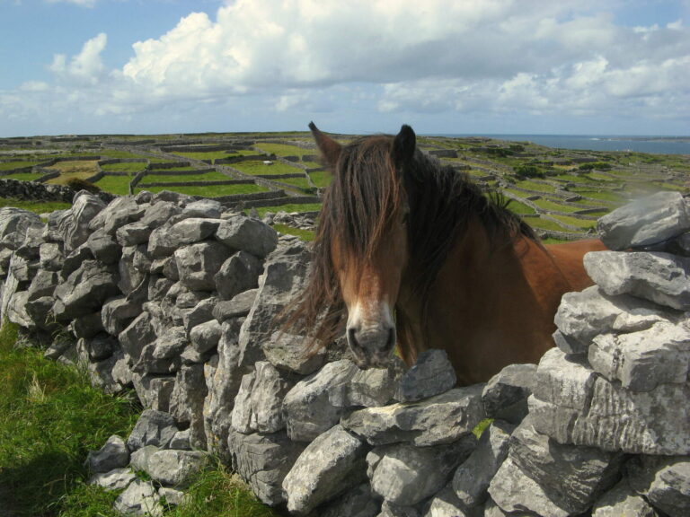 Kerry. Ireland
