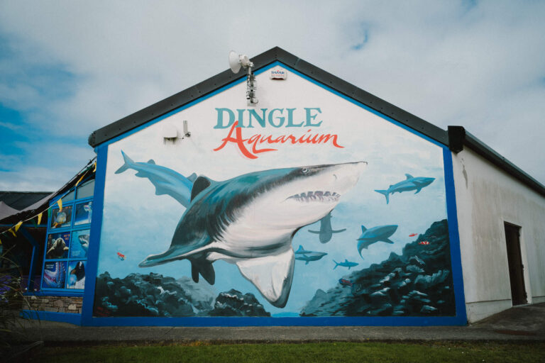 Dingle